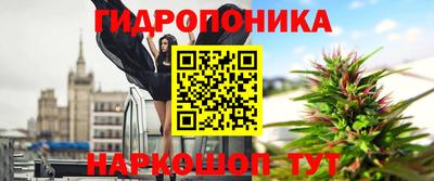 СК Пушкино