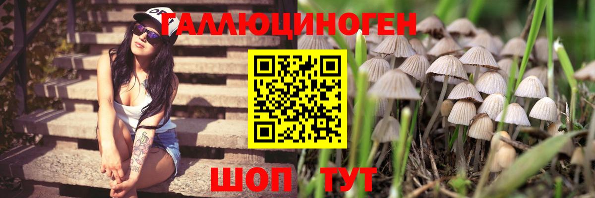 Галлюциногенные грибы GOLDEN TEACHER Бирск