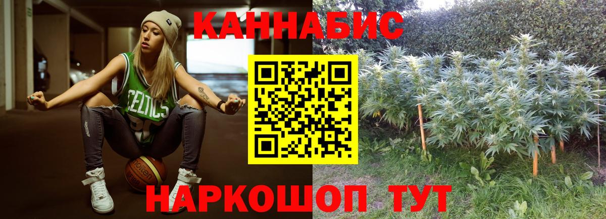 Шишки марихуана конопля  МАРИХУАНА OG Kush  Канабис план  Бирск  Вход с VPN  Марихуана Amnesia 